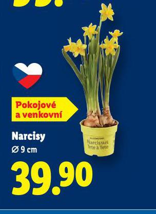NARCISY