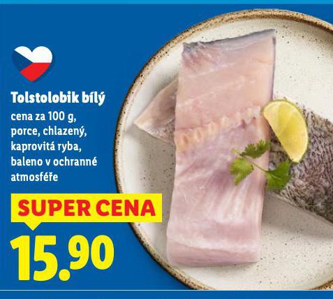 TOLSTOLOBIK B�L�