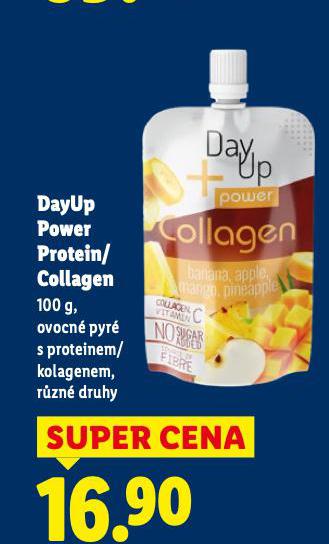 DAYUP POWER PROTEIN