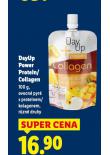 DAYUP POWER PROTEIN
