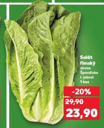 SAL�T ��MSK�