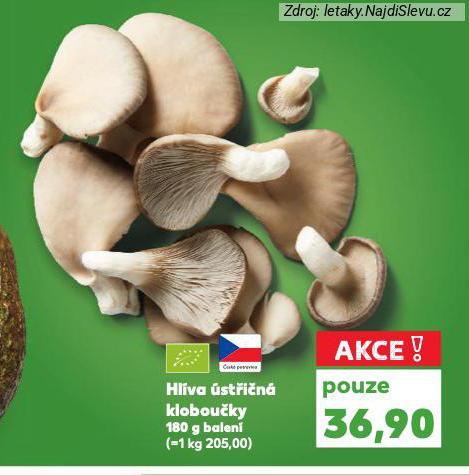 HL�VA �ST�I�N� KLOBOU�KY