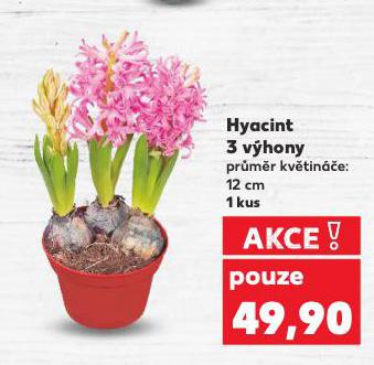 HYACINT 3 V�HONY