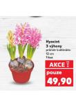 HYACINT 3 V�HONY