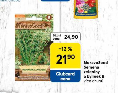 MORAVO SEED ZELENINY NA BYLINKY  B