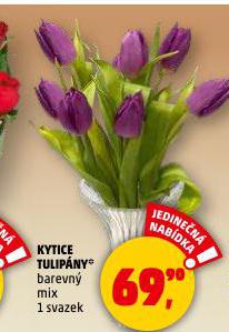KYTICE TULIP�NY