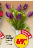 KYTICE TULIP�NY