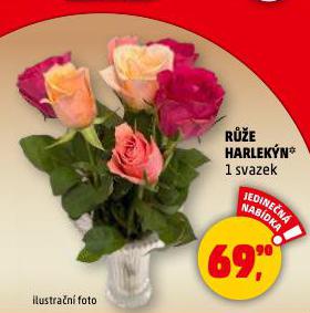 RَE HARLEK�N