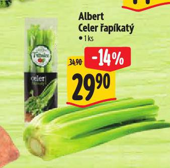 CELER �AP�KAT�