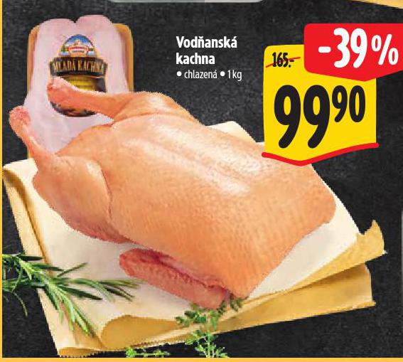 VOD�ANSK� KACHNA