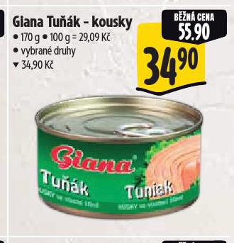 GIANA TU��K KOUSKY