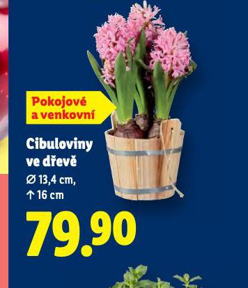 CIBULOVINY VE D�EV�