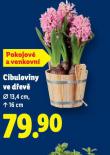 CIBULOVINY VE D�EV�