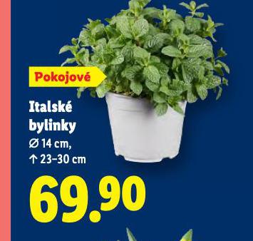 ITALSK� BYLINKY
