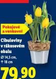 CIBULOVINY V R�KOSOV�M OBALU