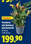 ORAN�OV� MIX