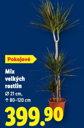 MIX VELK�CH ROSTLIN