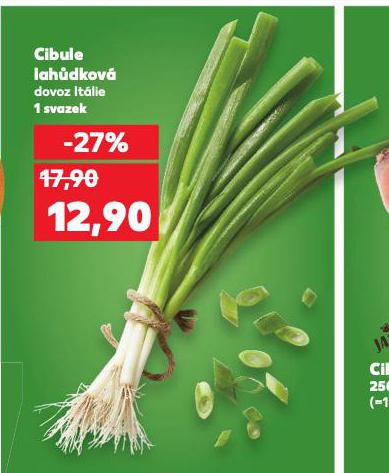 CIBULE LAH�DKOV�