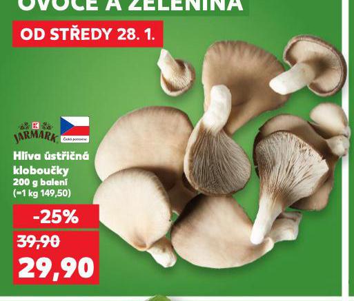 HL�VA �ST�I�N�