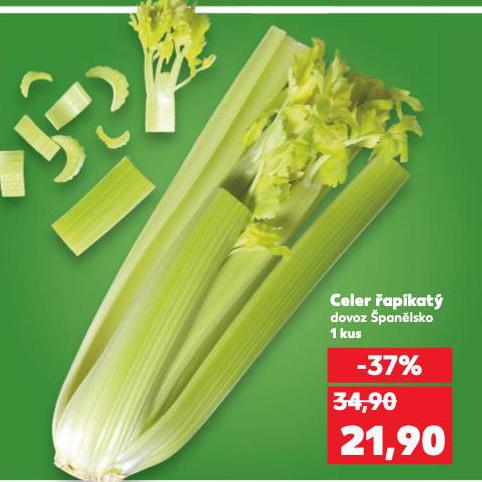 CELER �AP�KAT�