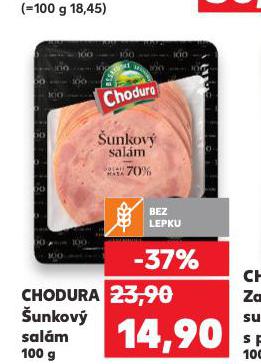 CHODURA �UNKOV� SAL�M