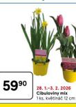 CIBULOVINY MIX