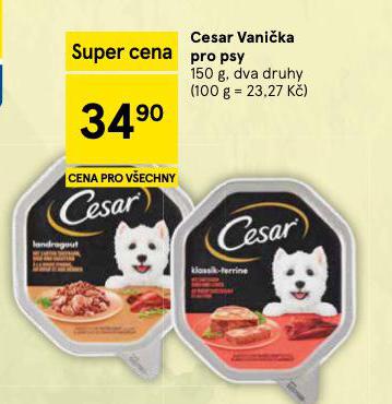 CESAR VANI�KA PRO PSY