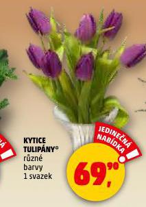 KYTICE TULIP�NY