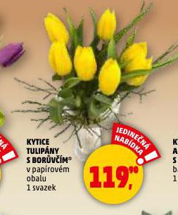 KYTICE TULIP�NY S BOR�V��M