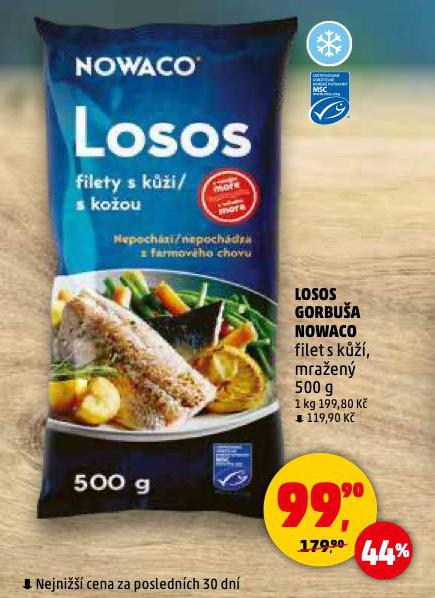 LOSOS GORBU�A NOWACO