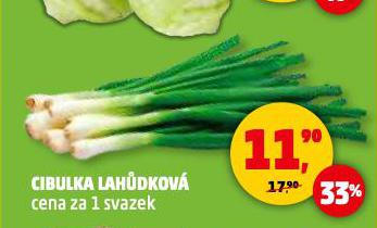 CIBULE LAH�DKOV�