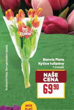 BONVITA FLORA KYTICE TULIP�NY