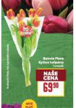 BONVITA FLORA KYTICE TULIPÁNY