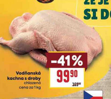 VOD�ANSK� KACHNA S DROBY