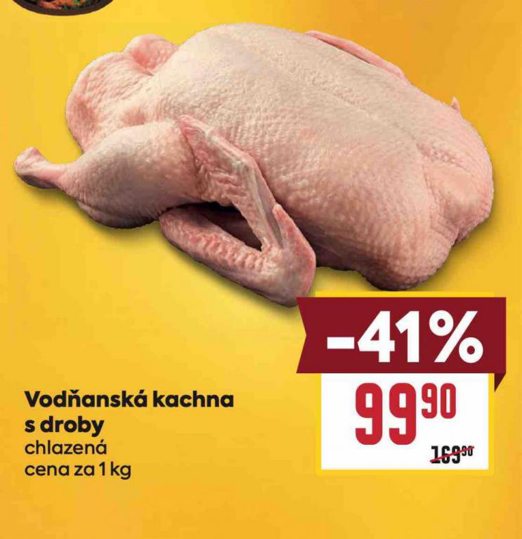 VOD�ANSK� KACHNA S DROBY