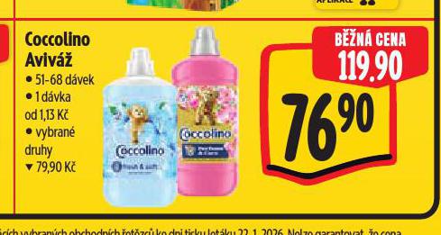 COCCOLINO AVIVÁŽ