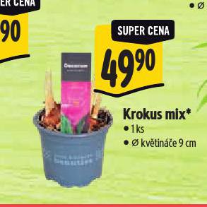 KROKUS MIX