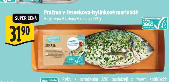 PRA�MA V �ESNEKOVO-BYLINKOV� MARIN�D�