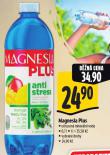 MAGNESIA PLUS