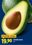 AVOKÁDO ZELENÉ