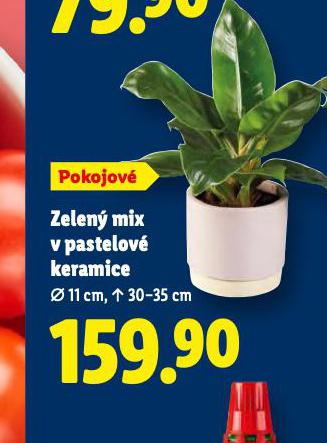 ZELENÝ MIX V PASTELOVÉ KERAMICE