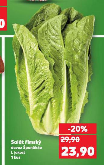 SAL�T ��MSK�