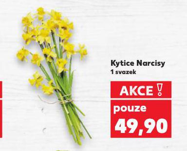 KYTICE NARCISY