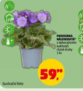 PRVOSENKA N�LEVKOVIT�