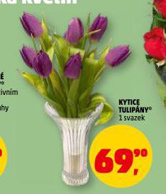 KYTICE TULIPÁNY