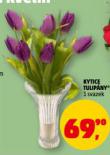 KYTICE TULIP�NY