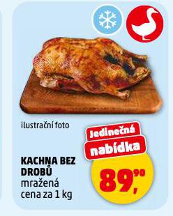 KACHNA BEZ DROBŮ