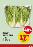 SALÁT LITTLE GEM