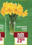 KYTICE NARCIS �EZAN�