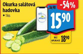 OKURKA SAL�TOV� HADOVKA